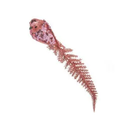 12" Pink Long Tail Bird Set Of 6