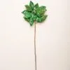 28" Emerald Green Poinsettia Stem Set Of 4 -Christmas decorations 0671409683
