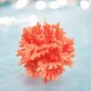 4.5" Coral Ball Ornament Set Of 6 -Christmas decorations 0796280863 1