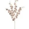 39" Champagne Eucalyptus Spray Set Of 4