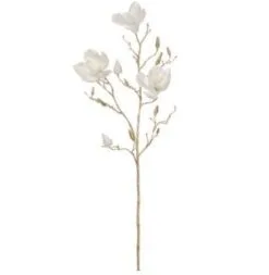 35" Cream Magnolia Spray Set Of 4