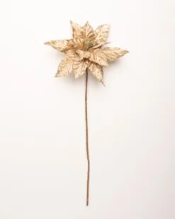 24" Taupe Glitter Edge Poinsettia Set Of 12