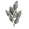 36" Frosted Magnolia Leaf Set Of 6 -Christmas decorations 4390277519
